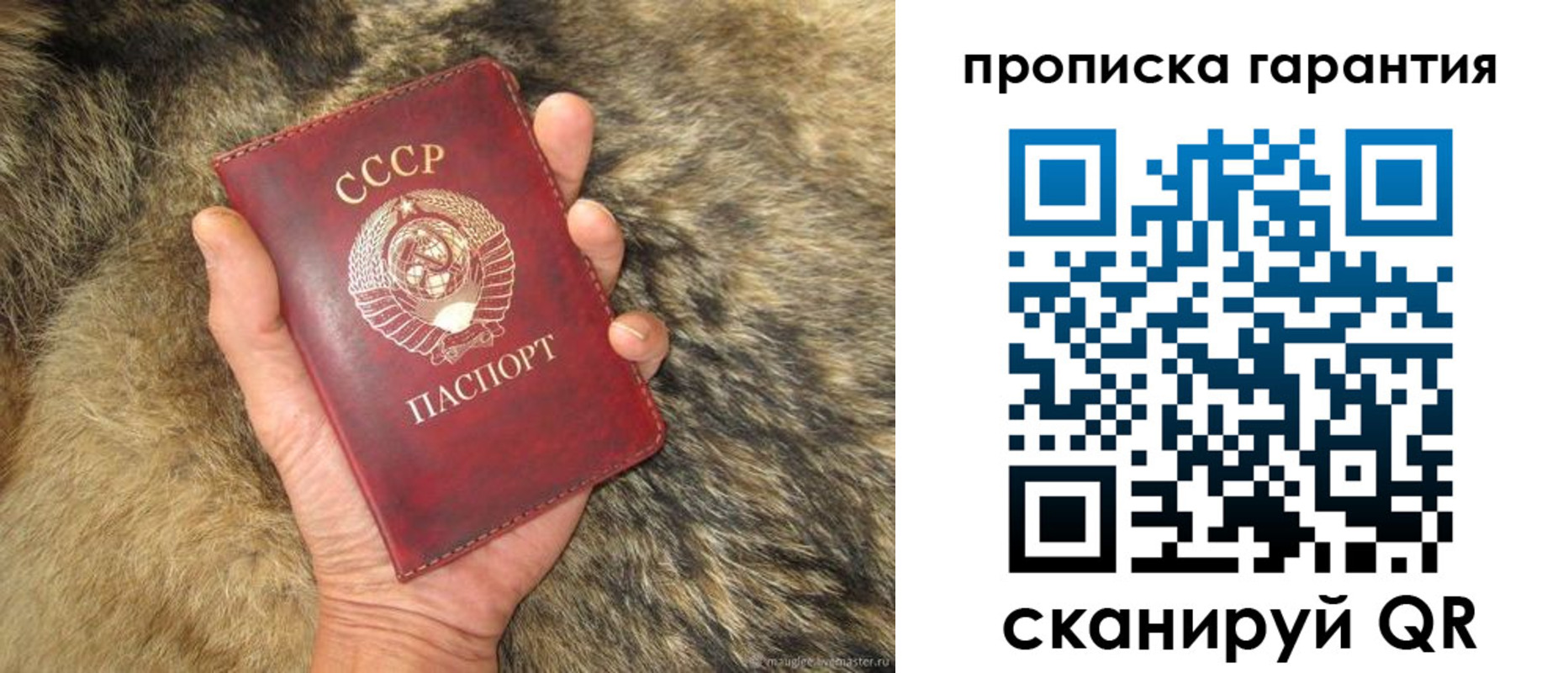 прописка паспорт в Реже